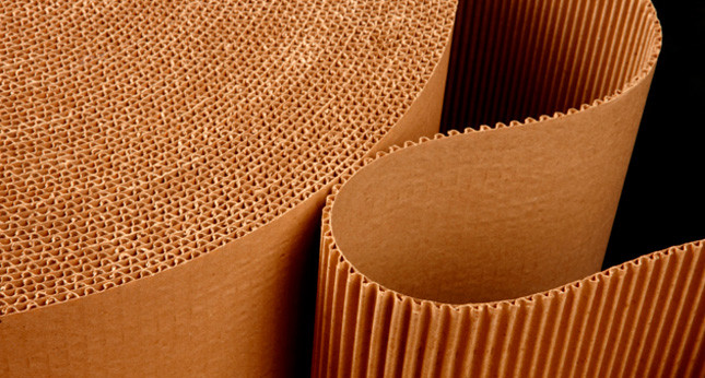 Папір, потрібний всім: розроблений бізнес-план виробництва картонних матеріалів для упаковки